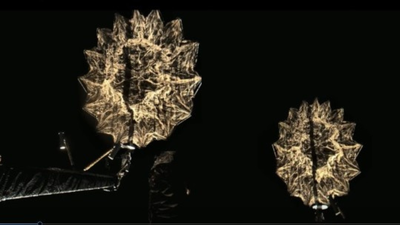 1764335714 unnamed file.jpg