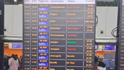 1764395558 unnamed file.jpg