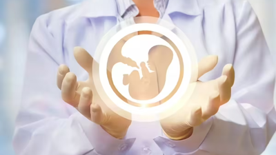 1764403923 pic 28.jpg