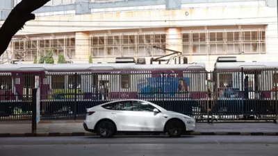 1764414704 untitled design 16.jpg