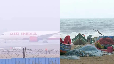 1764420250 image ani.jpg