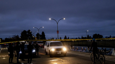 1764479252 untitled design 46.jpg