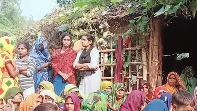 2 year old girl dragged away by wolf in bahraich.jpg