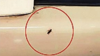 A passenger on the vande bharat express discovered cockroaches on his seat during a journey from gwa.png