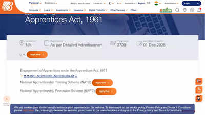 Bank of baroda 2025 apprentice jobs.jpg