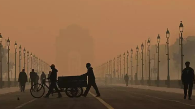 Delhi39s worsening air pollution is forcing residents to make difficult life choices with many reloc.png