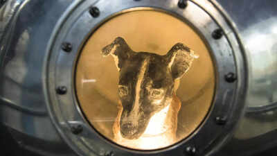 First animal in space brave stray dog whose 1957 space mission made history and never returned.jpg