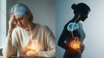 How the brain gut connection affects digestion.jpg