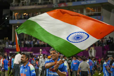 Icc women39s wc final ind w vs sa w.jpg