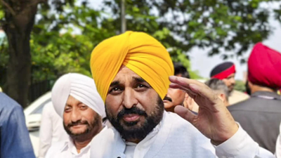 Image 2025 11 10t215907767.jpg