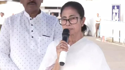 Mamata bnerjee file ani.jpg