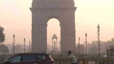 More than 20000 challans have been issued in delhi under the graded response action plan grap 2 sinc.jpeg