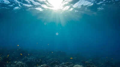 Mysterious structures under the pacific what scientists found beneath the ocean floor could reshape.jpeg