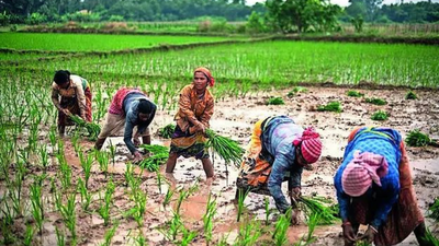 New study on pesticides impact.jpg