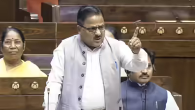 Panel chairperson radha mohan das agarwal.jpg