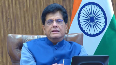 Piyush goyal.jpg