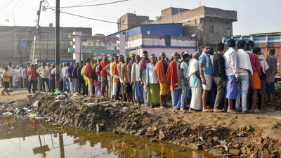 Sikandra constituency election result 2025.jpg