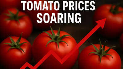 Tomato prices.jpg