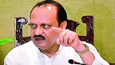 Untitled design 22.jpg