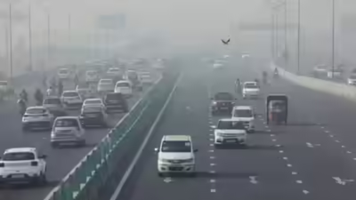 Untitled design 35.jpg