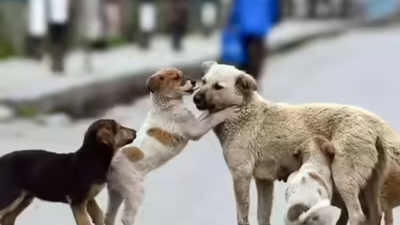 Untitled design 39.jpg