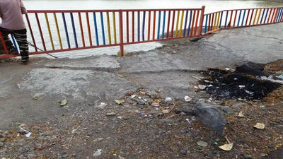 Untitled design 47.jpg