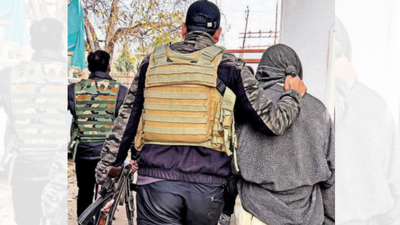 Untitled design 81.jpg