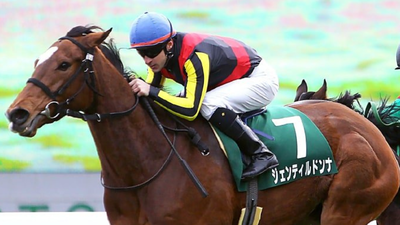 Who was gentildonna japan cup 2012 racehorse hero passes away at 16 as tributes pour in from racing.png