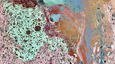 1280720 2025 12 27t221614743.jpg