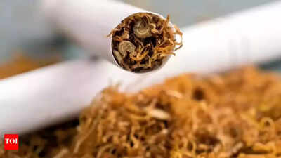 1764569258 unnamed file.jpg