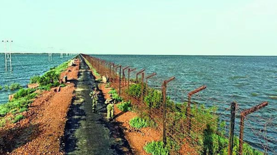 1764615683 unnamed file.jpg