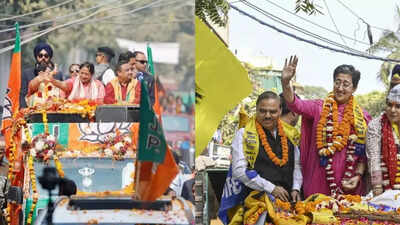 1764745667 unnamed file.jpg