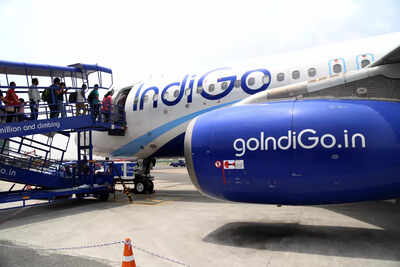 1765096325 indigo.jpg