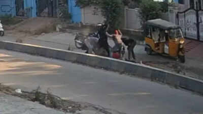 1765190184 unnamed file.jpg