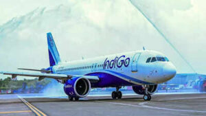 1765356457 indigo.jpg