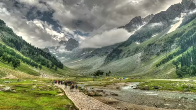 1765395326 unnamed file.jpg