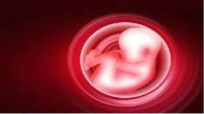 1765395868 unnamed file.jpg