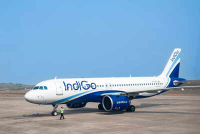 1765518335 indigo.jpg