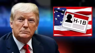 1765644967 untitled design 6.jpg