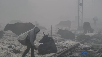 1765782754 representative image.jpg