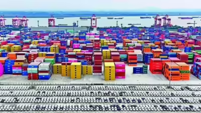 1765989022 unnamed file.jpg