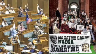 1766145105 unnamed file.jpg