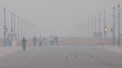 1766165391 unnamed file.jpg