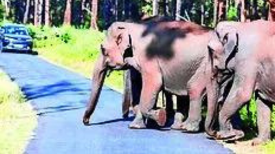 1766179683 unnamed file.jpg