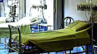 1766236367 unnamed file.jpg