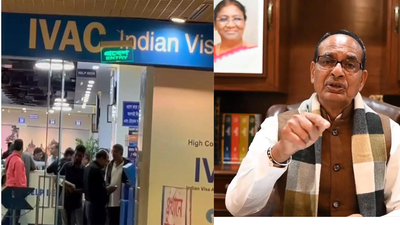 1766320253 untitled design.jpg