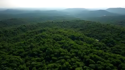 1766429945 unnamed file.jpg