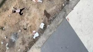 1766445619 unnamed file.jpg