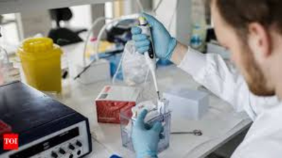 1766455486 representative image.jpg