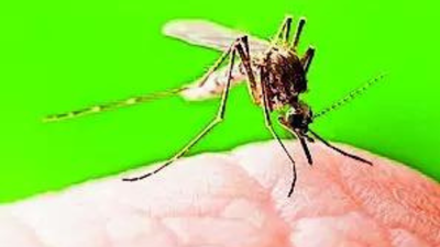 1766618069 untitled design 18.jpg